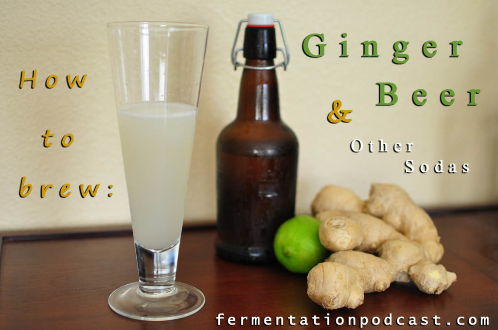 Episode 4 – How to Make Ginger Beer and Lacto-Fermented Soda