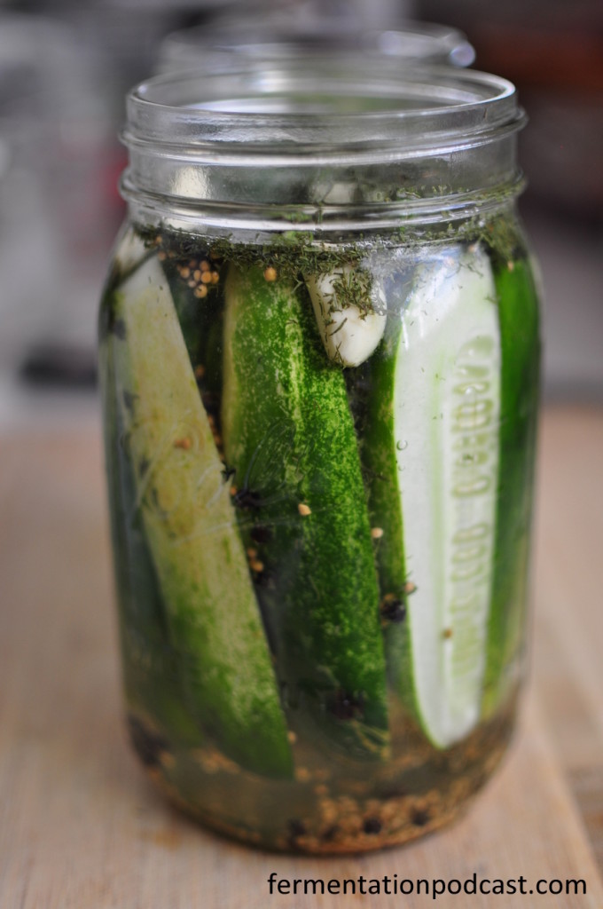 Episode 2 – Homemade Lacto-Fermented Dill Pickles