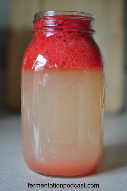 Watermelon Soda Recipe | The Fermentation Podcast