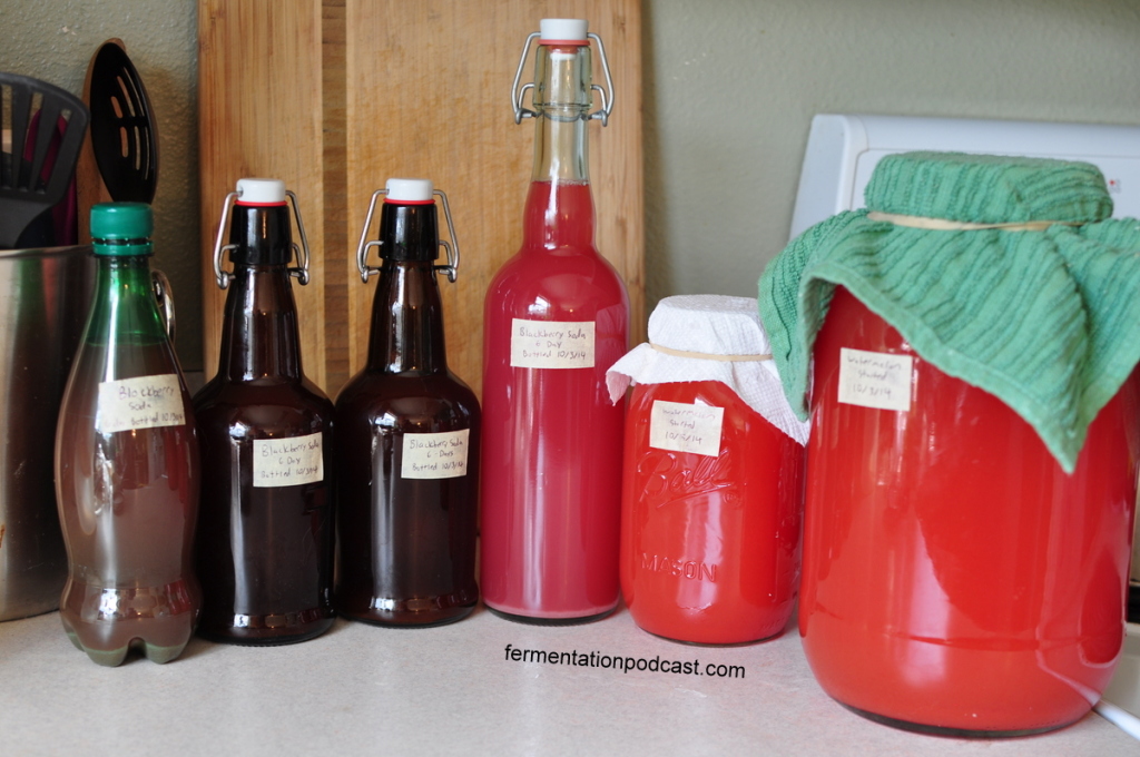 Fermented Blackberry & Watermelon Sodas