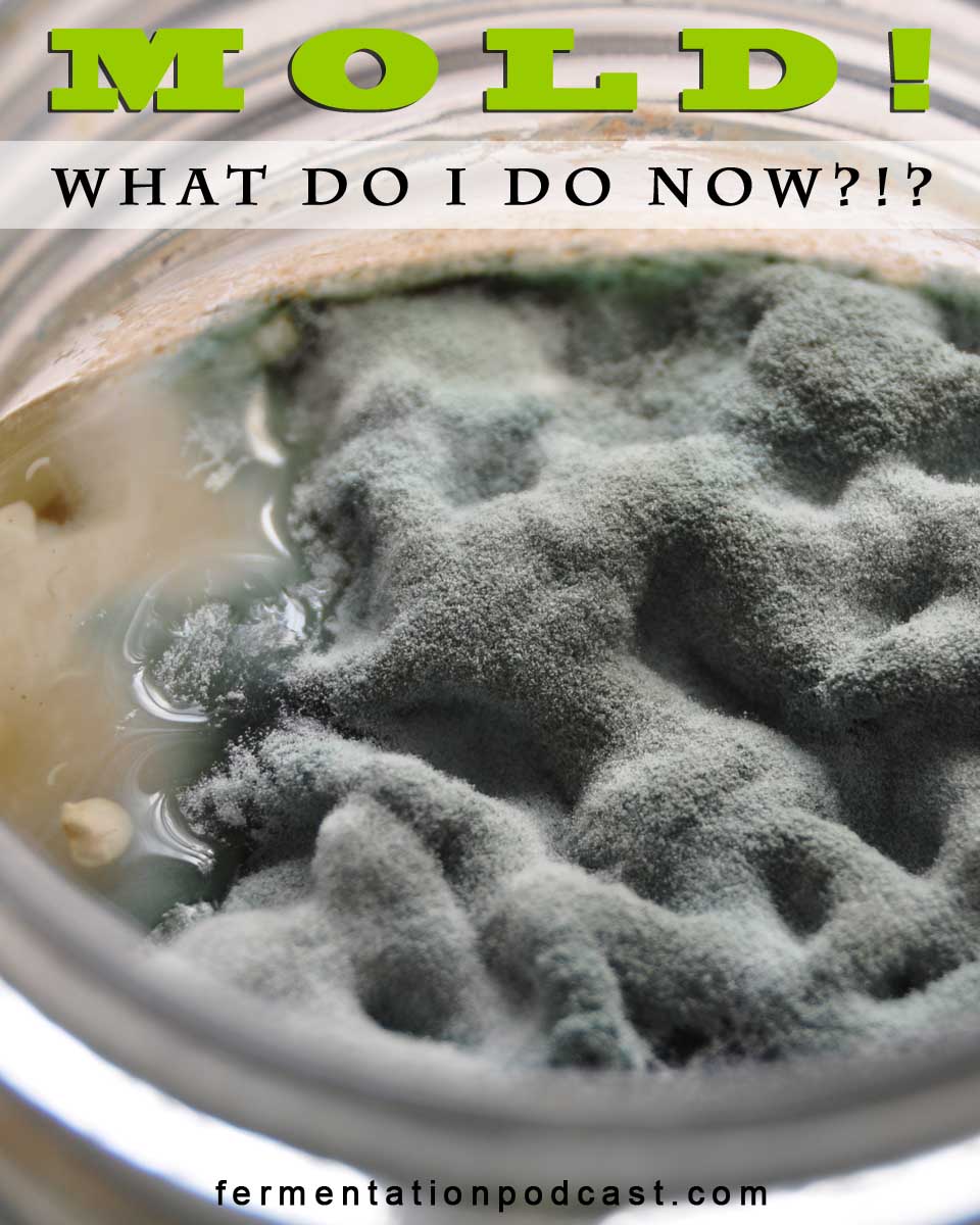 Is Moldy Food Dangerous? Not Always