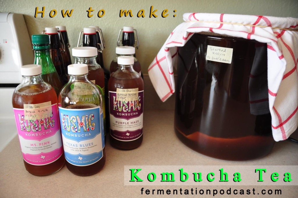 How to make kombucha tea & the SCOBY