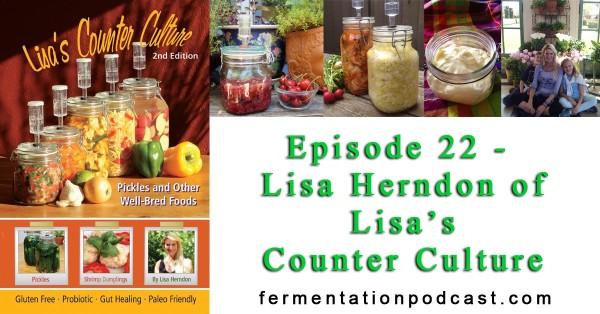 Episode 22 – Lisa Herndon of Lisa’s Counter Culture