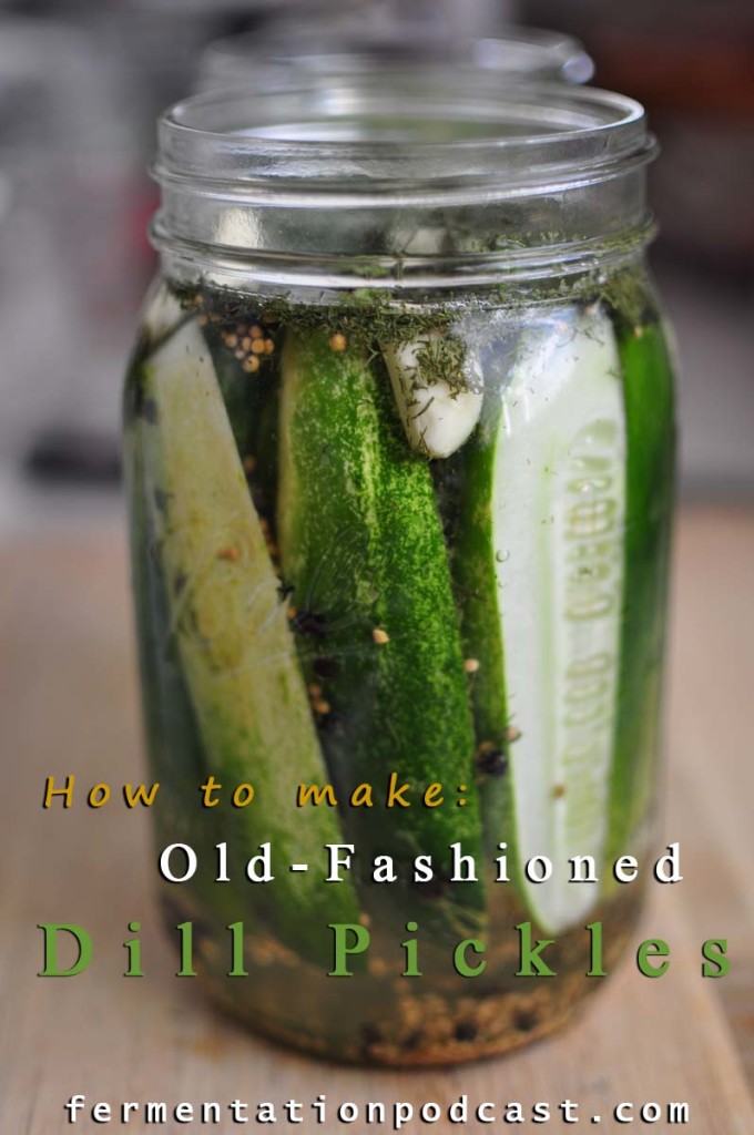 Homemade Dill Pickle Recipe | The Fermentation Podcast